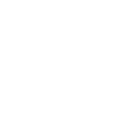application (1)